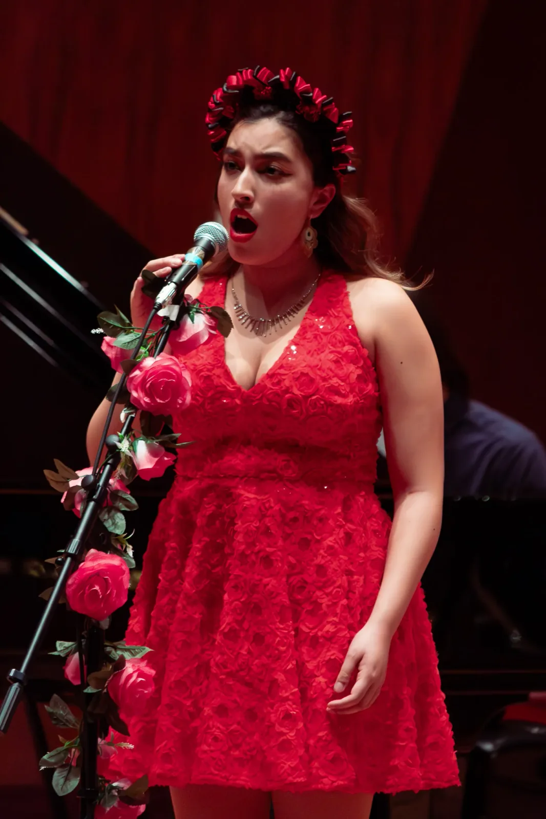 concert photography by JRMGraphy